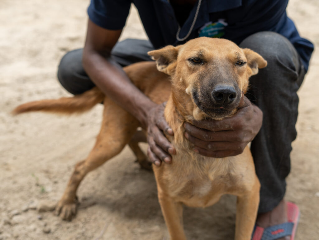 Earthlings Trust’s Rescue Tales