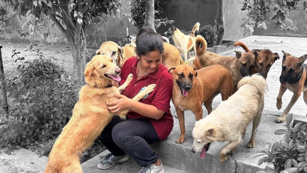 Chained and Caged Dogs in India: Recognising and Reporting a Hidden Form of Cruelty