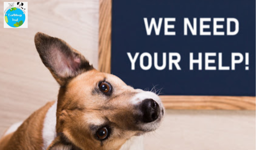 What Is an Animal Centre: A Complete Guide