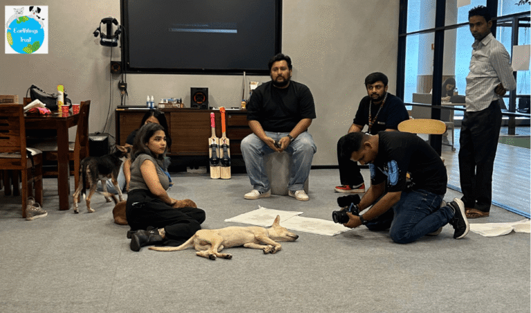 Dog Ngo