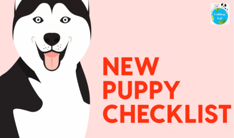 Preparing for New Puppies