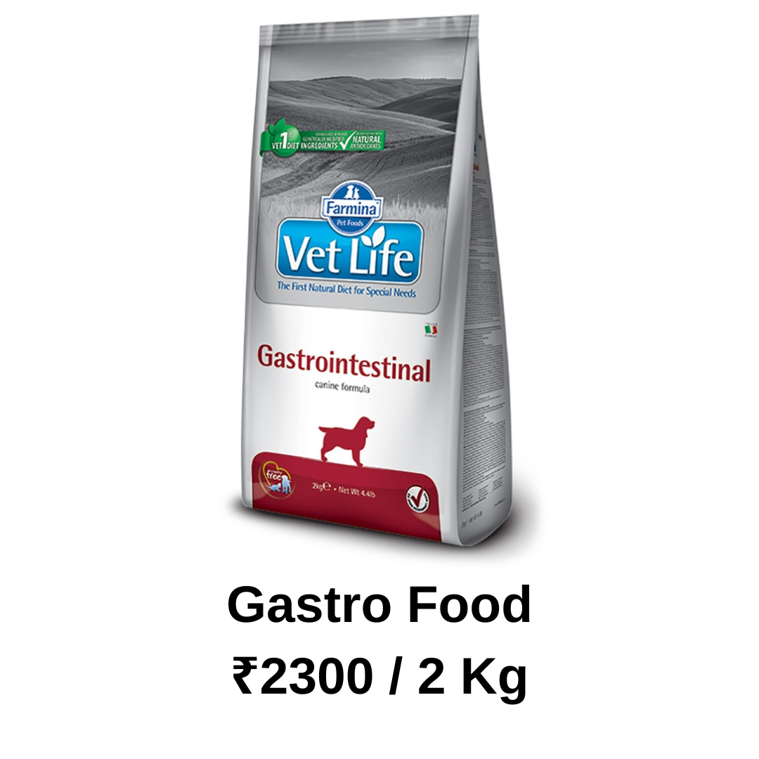 Gastro Food - 2 kg