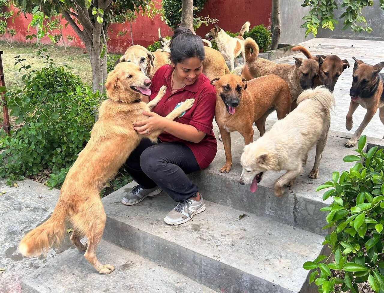 Community dog feeding etiquette India written policy discussion in a housing society