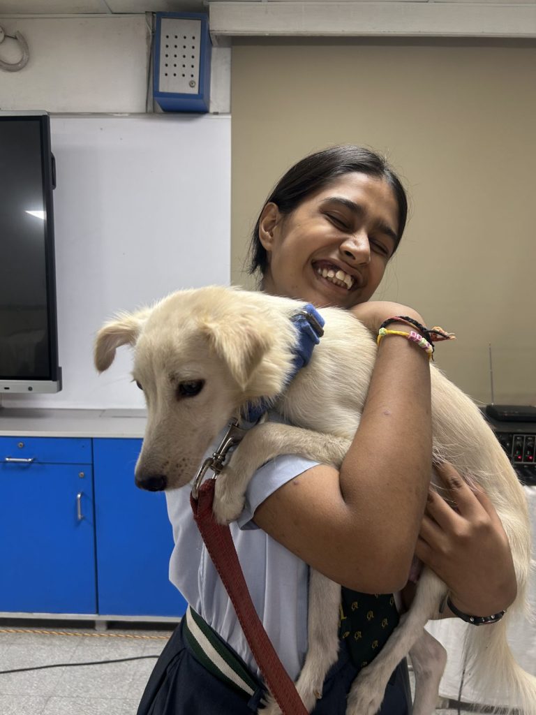 Why Animal Welfare Begins in the Classroom