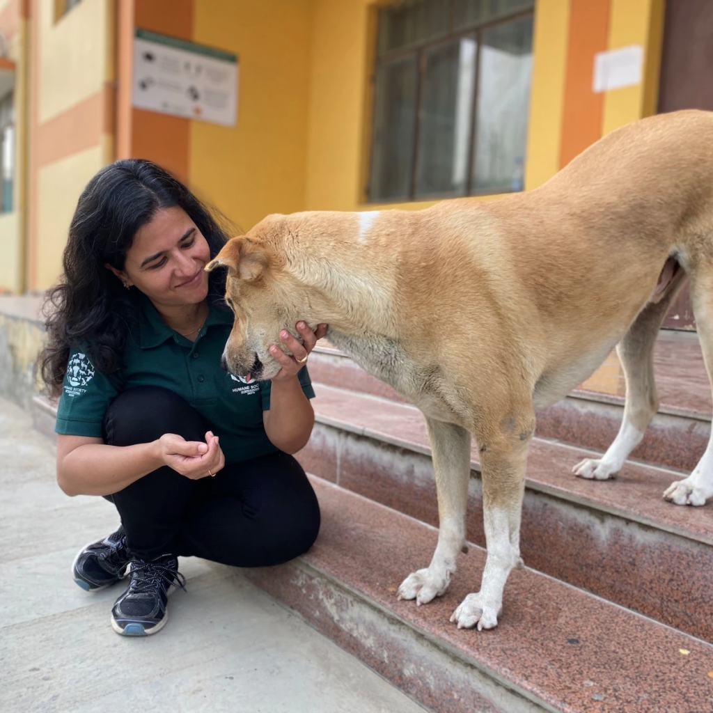 Women in Animal Welfare India: 5 Powerful Changemakers